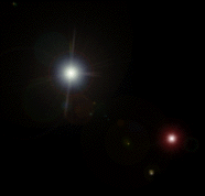 star6.gif (10124 bytes)